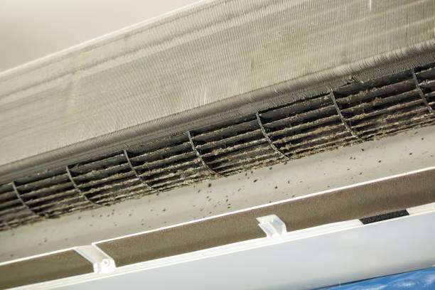 Best Commercial Air Duct Cleaning  in Midvale, UT